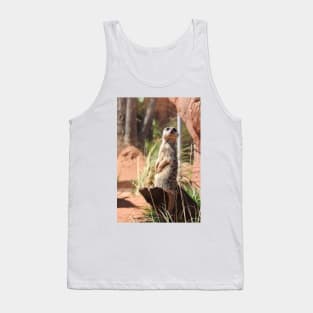 Meerkat Tank Top